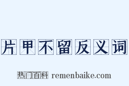 片甲不留反义词是什么意思的图片